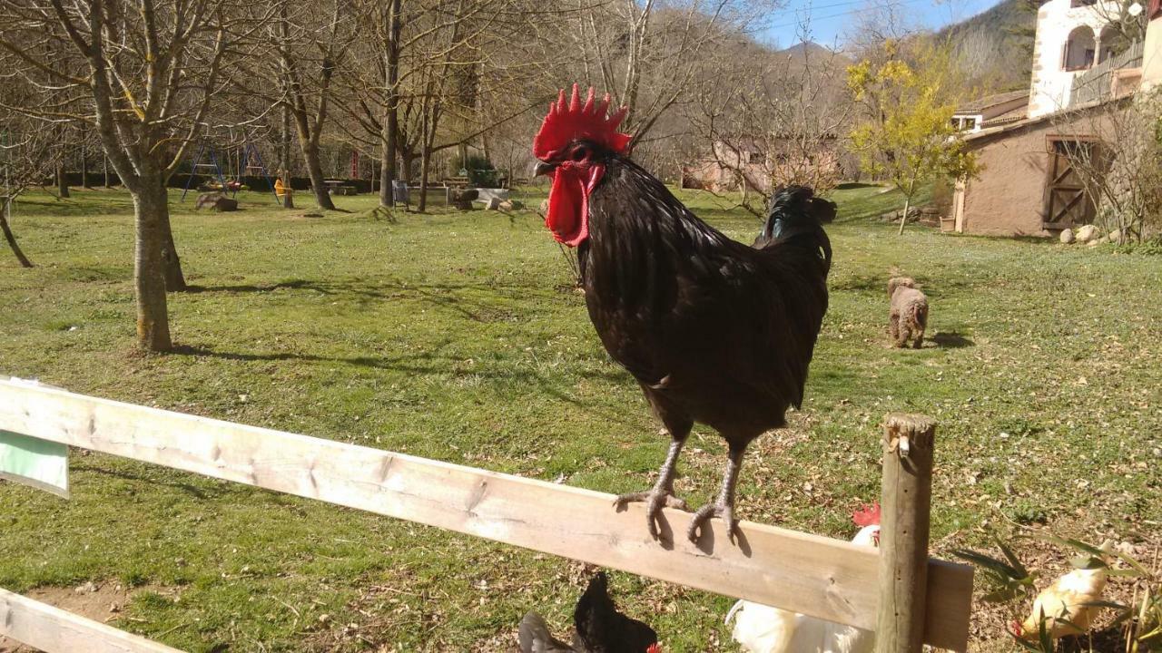 El Molí d'en Solà-Allotjaments rurals La Vall de Bianya Exterior foto